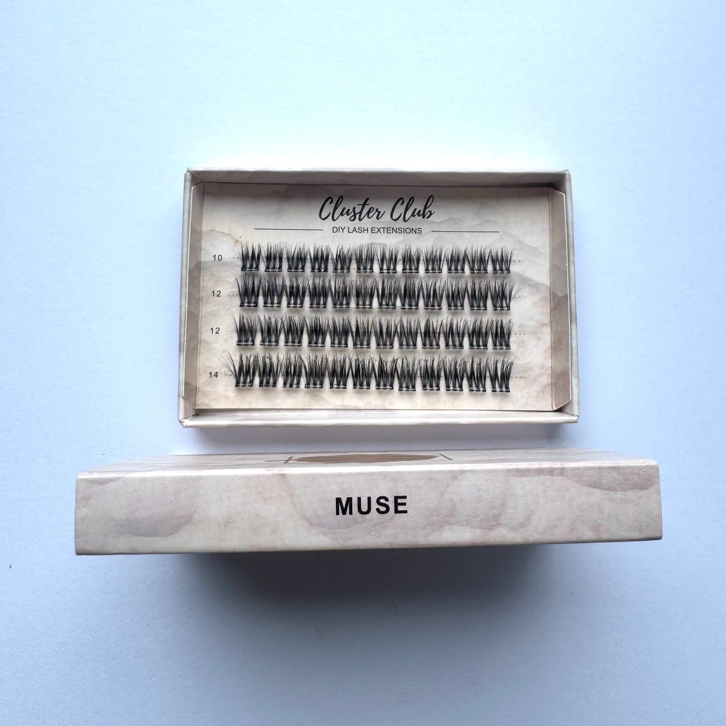 Cluster Club Muse